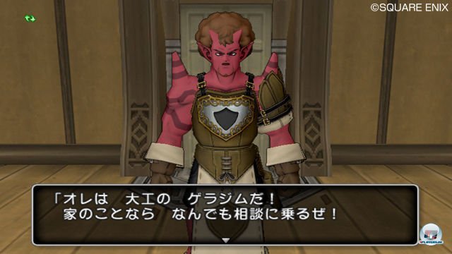 Screenshot - Dragon Quest X Online (Wii) 2335442