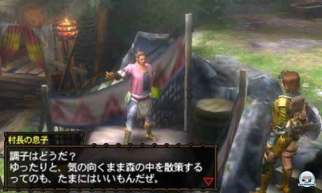 Screenshot - Monster Hunter 3G (3DS) 2273957