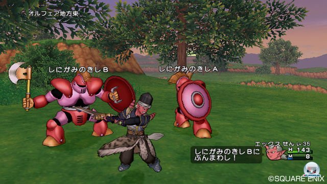 Screenshot - Dragon Quest X Online (Wii) 2289942