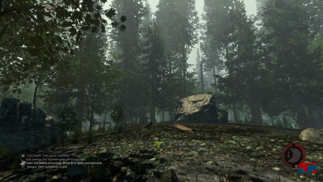 Screenshot - The Forest (PC) 92486580