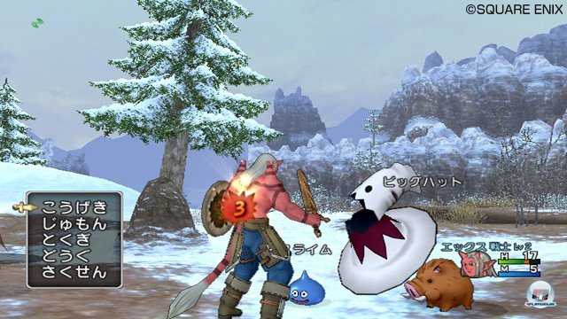 Screenshot - Dragon Quest X Online (Wii) 2321227