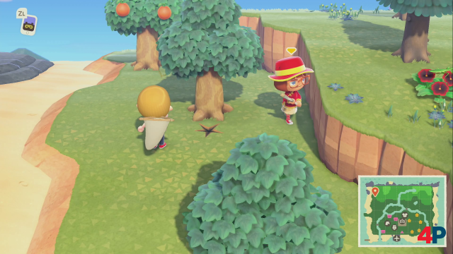Screenshot - Animal Crossing: New Horizons (Switch) 92607685