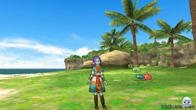 Screenshot - Dragon Quest X Online (Wii) 2282142