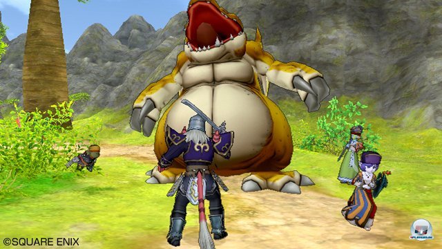 Screenshot - Dragon Quest X Online (Wii) 2321192