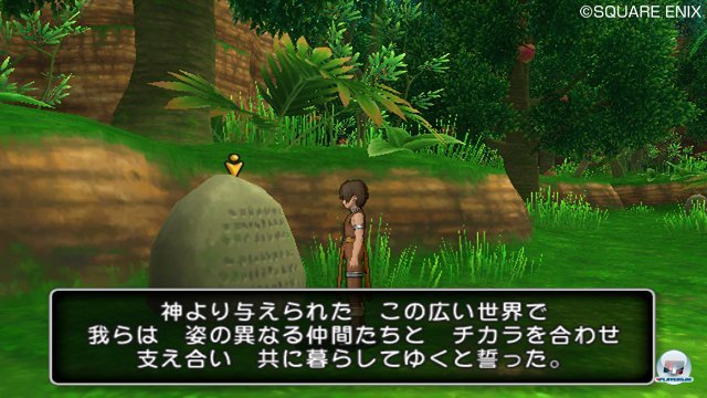 Screenshot - Dragon Quest X Online (Wii) 2308727