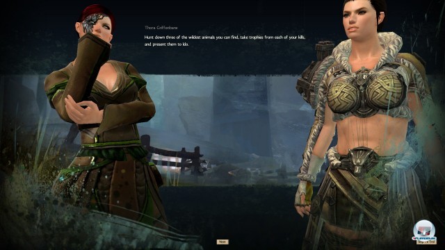 Screenshot - Guild Wars 2 (PC) 2236234