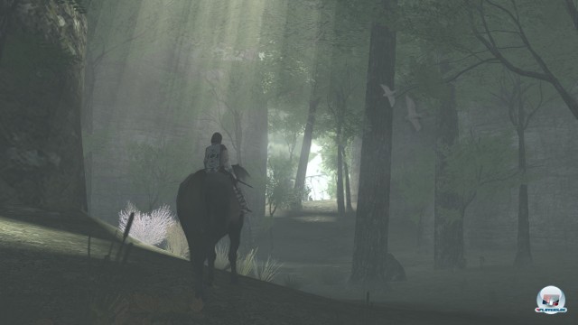 Screenshot - ICO & Shadow of the Colossus HD (PlayStation3) 2233792