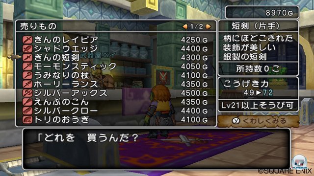 Screenshot - Dragon Quest X Online (Wii) 2273422