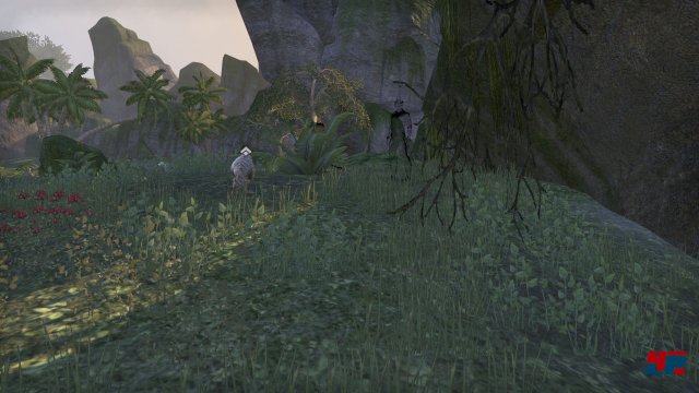 Screenshot - The Elder Scrolls Online (PC) 92480383
