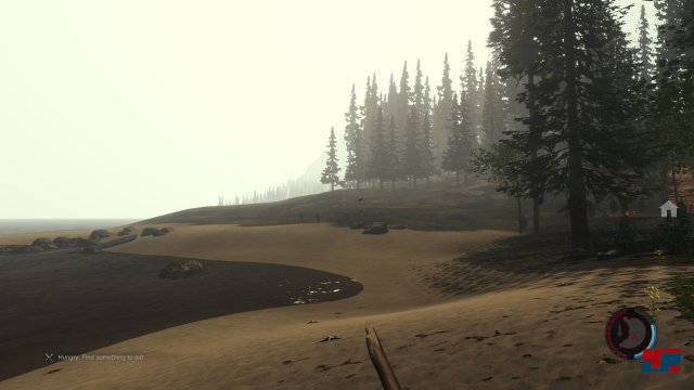 Screenshot - The Forest (PC) 92486559