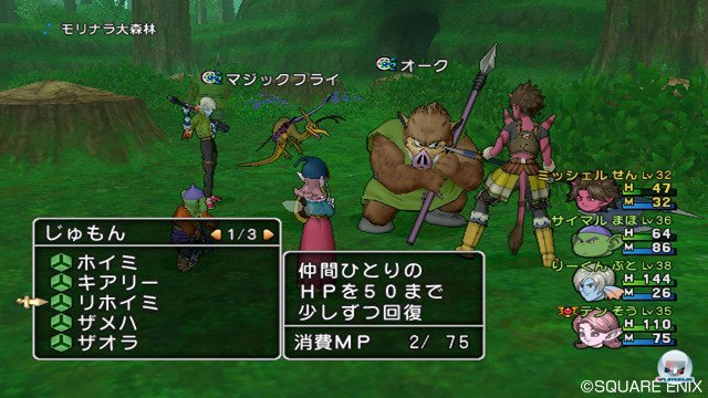 Screenshot - Dragon Quest X Online (Wii) 2295662