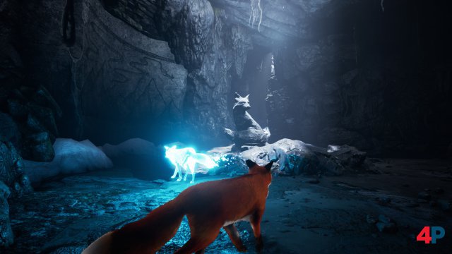 Screenshot - Spirit of the North (PC)