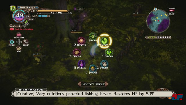Screenshot - The Witch and the Hundred Knight (PlayStation3) 92478197