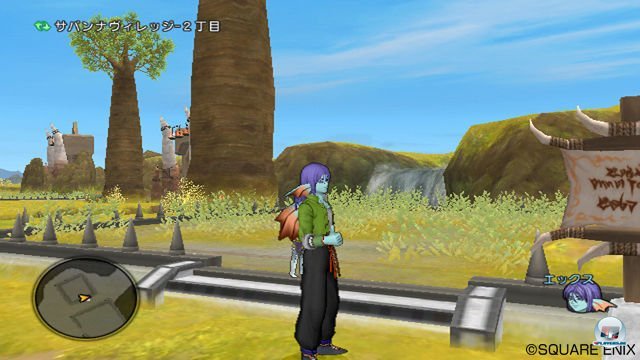 Screenshot - Dragon Quest X Online (Wii) 2335507