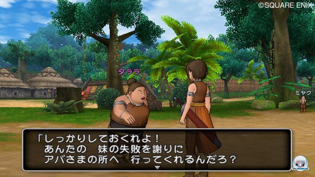 Screenshot - Dragon Quest X Online (Wii) 2357262
