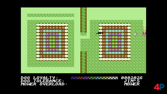 Screenshot - The C64 Fullsize (Spielkultur) 92591118