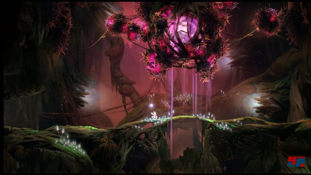 Screenshot - Ori and the Blind Forest (PC) 92487793