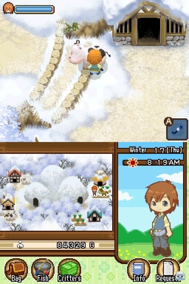Screenshot - Harvest Moon: The Tale of Two Towns (NDS) 2231977