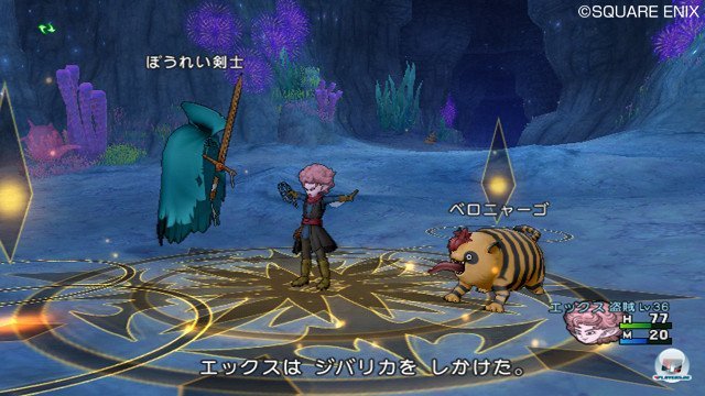Screenshot - Dragon Quest X Online (Wii) 2370782