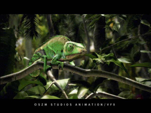 Chameleon (c) SZM Studios/ Bach Pablo 15620