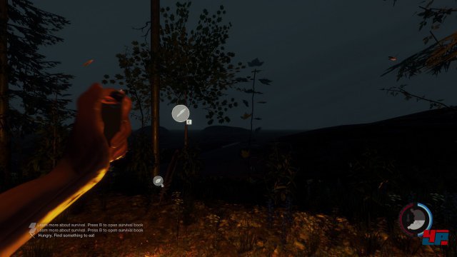 Screenshot - The Forest (PC) 92486550