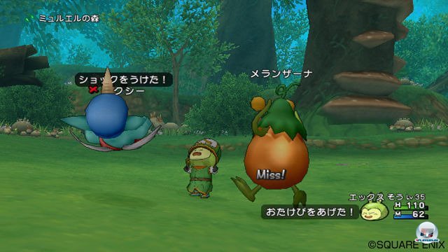 Screenshot - Dragon Quest X Online (Wii) 2295627