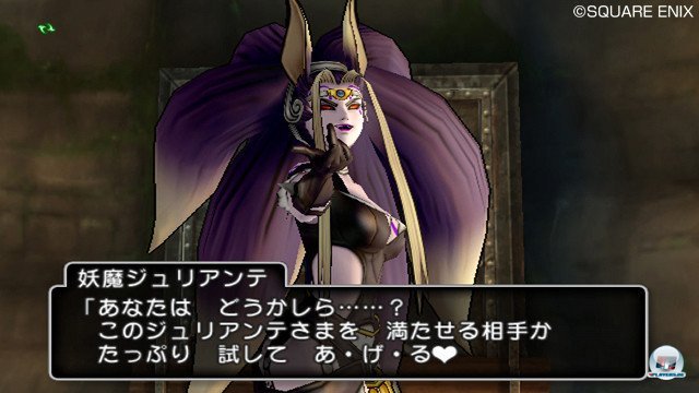 Screenshot - Dragon Quest X Online (Wii) 2355387