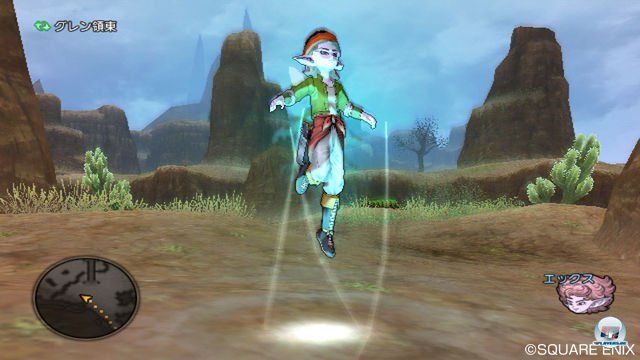 Screenshot - Dragon Quest X Online (Wii) 2315337