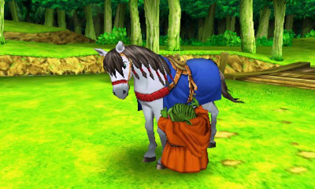 Screenshot - Dragon Quest 8: Die Reise des verwunschenen Knigs (3DS) 92538654