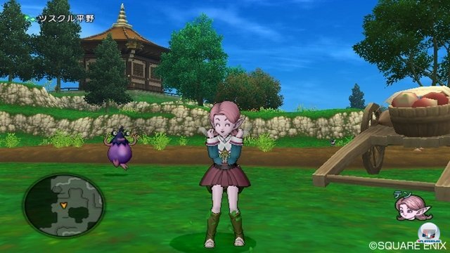 Screenshot - Dragon Quest X Online (Wii) 2372247