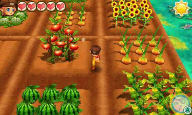 Screenshot - Story of Seasons: Trio of Towns (3DS) 92528506