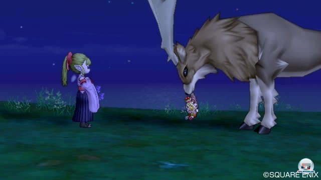 Screenshot - Dragon Quest X Online (Wii) 2372317