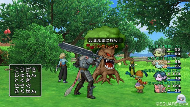 Screenshot - Dragon Quest X Online (Wii) 2368847