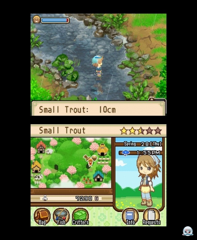 Screenshot - Harvest Moon: The Tale of Two Towns (NDS) 2231958