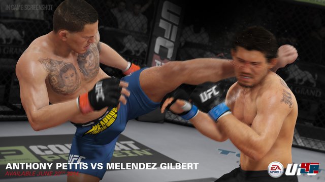Screenshot - EA Sports UFC (PlayStation4)