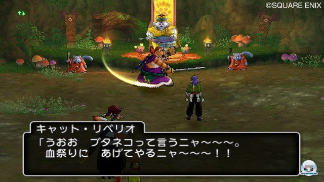 Screenshot - Dragon Quest X Online (Wii) 2365422