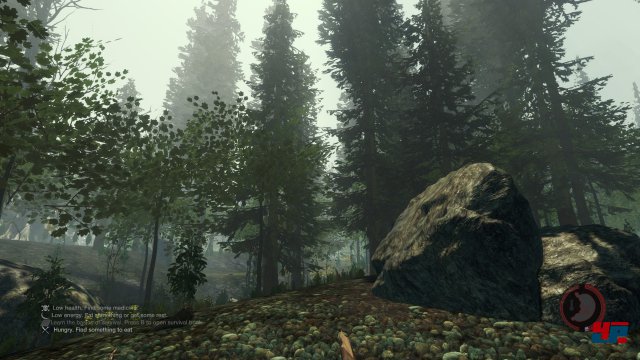 Screenshot - The Forest (PC) 92486581