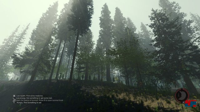 Screenshot - The Forest (PC) 92486579