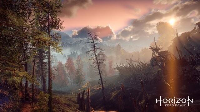 Screenshot - Horizon: Zero Dawn (PS4) 92527668