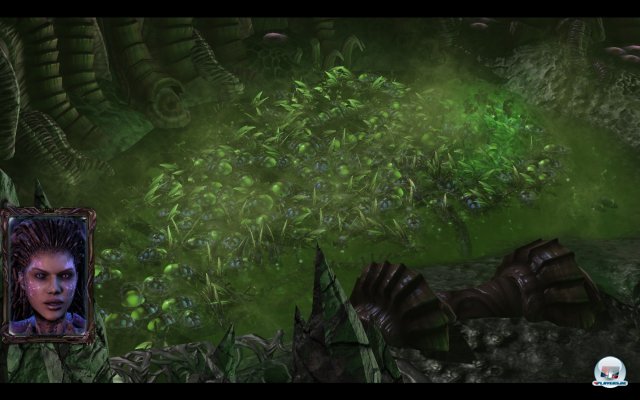 Screenshot - StarCraft 2: Heart of the Swarm (PC) 92457080