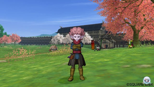 Screenshot - Dragon Quest X Online (Wii) 2277612