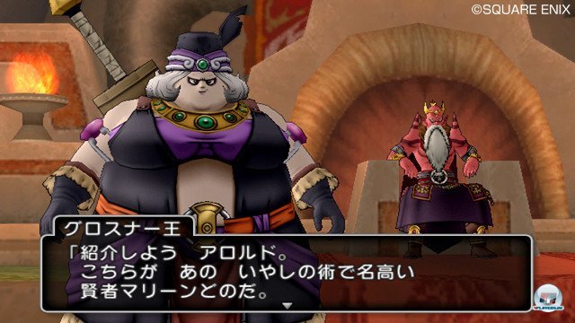 Screenshot - Dragon Quest X Online (Wii) 2355377