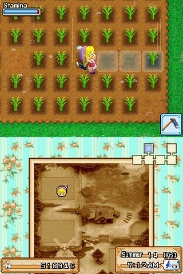 Screenshot - Harvest Moon DS: Grand Bazaar (NDS) 2222962