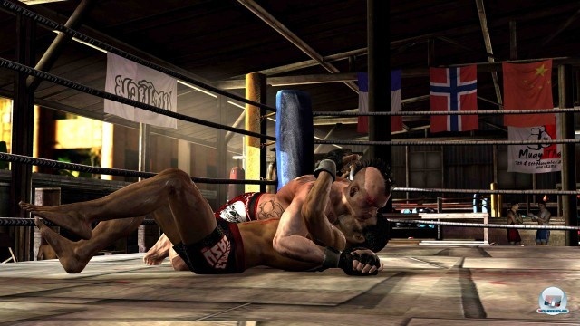 Screenshot - Supremacy MMA (360) 2243557