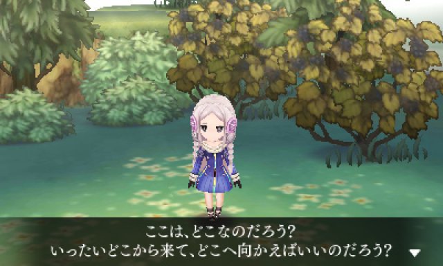 Screenshot - The Legend of Legacy (3DS)