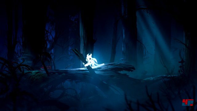 Screenshot - Ori and the Blind Forest (PC) 92501388