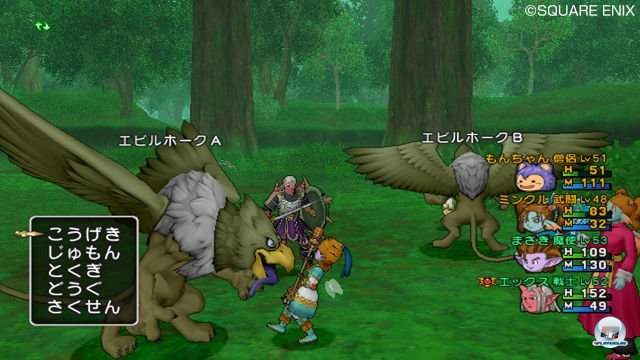 Screenshot - Dragon Quest X Online (Wii) 2303807