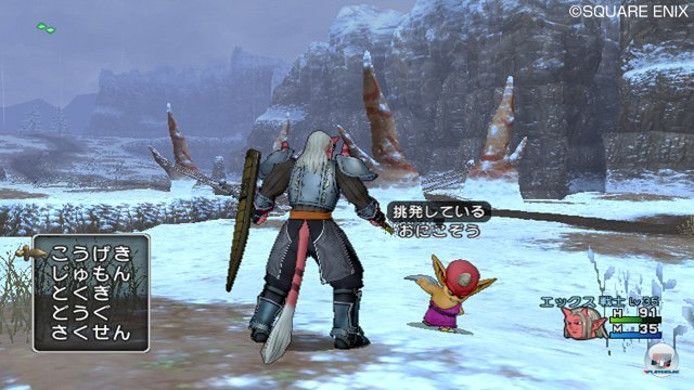 Screenshot - Dragon Quest X Online (Wii) 2321202