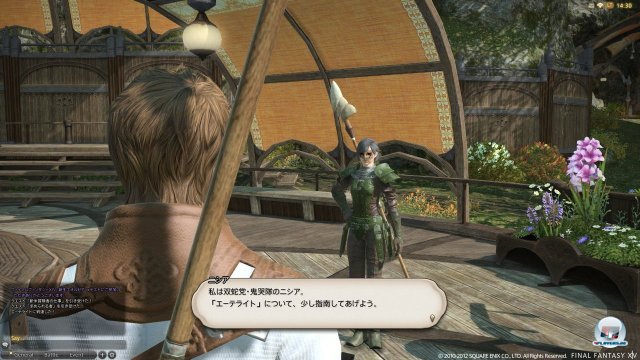 Screenshot - Final Fantasy XIV Online (PC) 92431167