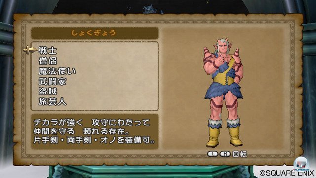 Screenshot - Dragon Quest X Online (Wii) 2357157